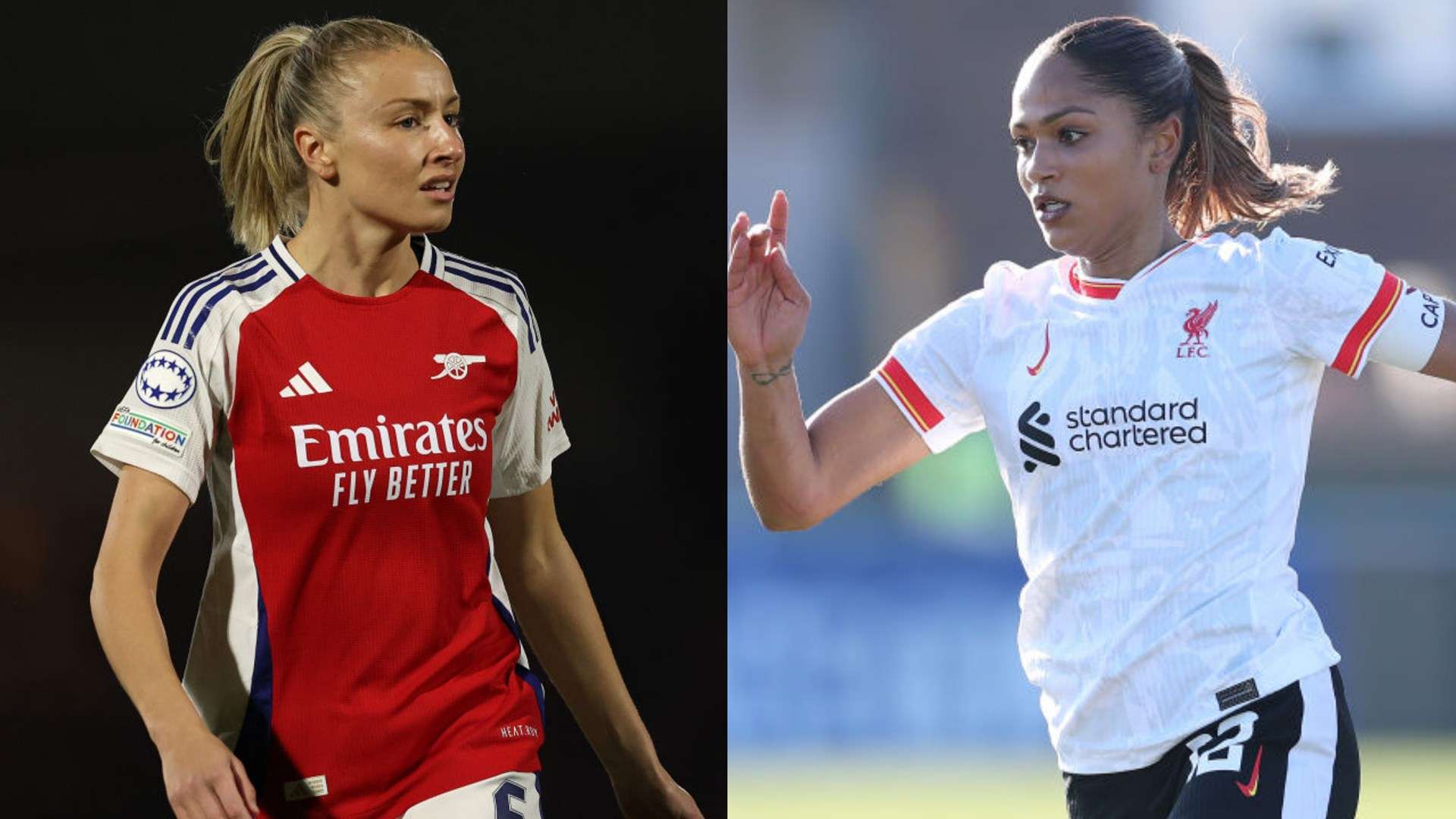 这篇文章将 这篇文章将